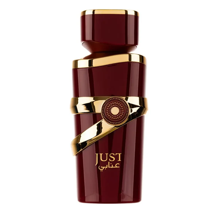 Just Anabi Eau De Parfum 100ml by Fragrance World